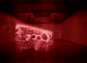 Ralph Ueltzhoeffer: Lichtinstallation, Hologramm